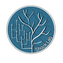 Shock Lab